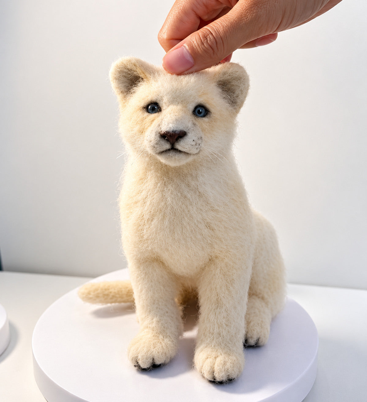 Close front view of white felted lion cub with adult hand on head for a sense of size